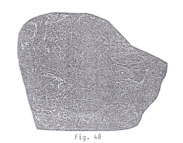 Fig.
48: El donante del corazón Fig.
48: El donante del corazón