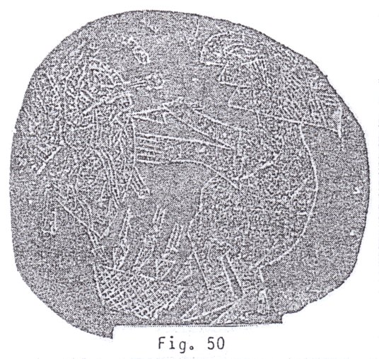 Fig. 50: Preparan el
corazón Fig. 50: Preparan
el corazón