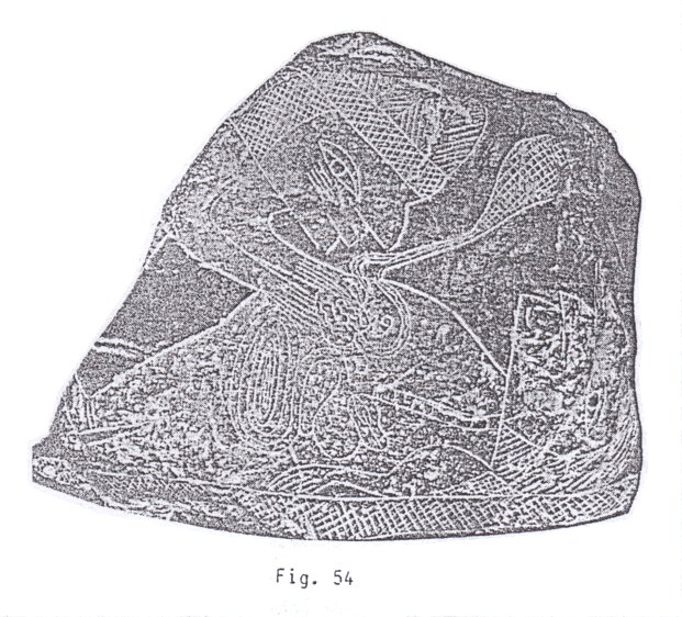 Fig.
54: Transplantan el corazón Fig.
54: Transplantan el corazón