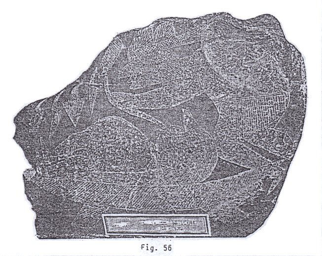 Fig. 56: Controlan el corazón
implantado Fig.
56: Controlan el corazón implantado