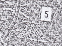 Fig. sin n�mero:
                                robot, primer plano (p.227)