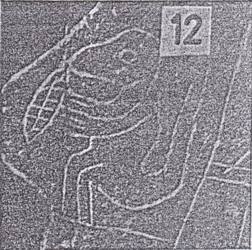 Fig.
                                sin n�mero: Notharctus