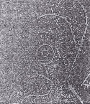 Fig.
                                sin n�mero: el s�mbolo para una
                                espacionave son dos c�rculos
                                concentricos