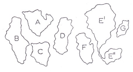 Desembarcación
imaginaria de los continentes Desembarcación imaginaria de los
continentes