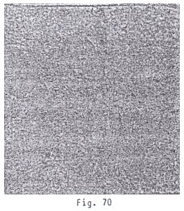 Pisada de animal no identificada