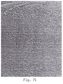 Huellas de un ser
                                humano