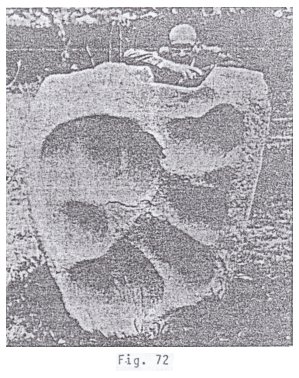 Fig. 72: la pisada de un
                dinosaurio