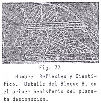 Fig.
                                77: hombre reflexivo y cient�fico
