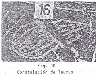 Fig. 90: la
                            constelaci�n del toro (Taurus)