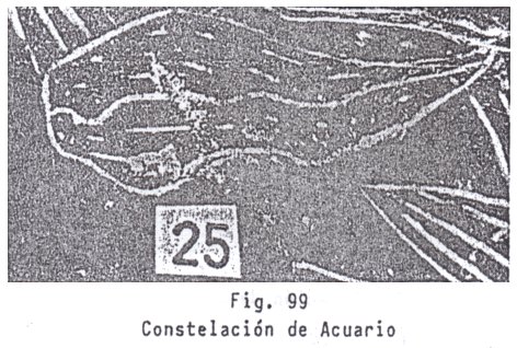 Fig. 99: la
                          constelaci�n de Acuario