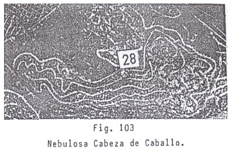 Fig. 103: nebulosa
                          cabeza de caballo