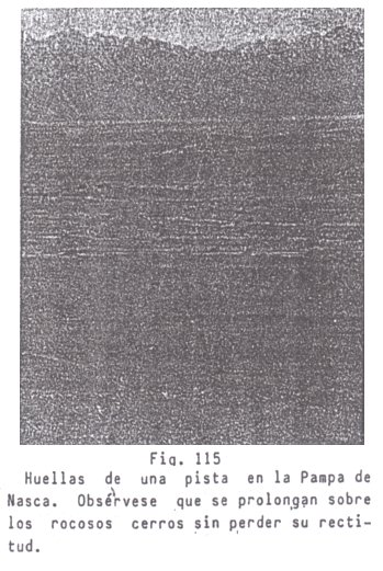 Fig.
                              115: una pista de Nasca