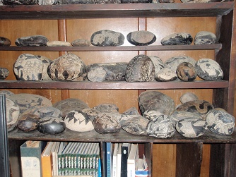 Engraved stones on a shelf,
                                    close-up 01, with stones with
                                    designs of animals of prehistory and
                                    with designs of the Nazca lines