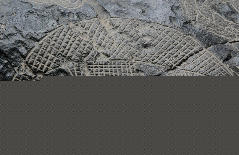 La luna con la grabaci�n, primer plano