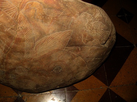 Yellow dinosaur
                            (Stegosaurus-Brontosaurus), close-up of the
                            birds