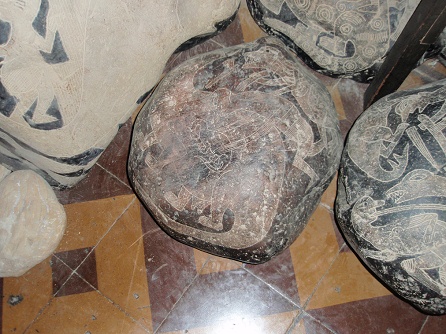 Pregnant dinosaur (Brontosaurus or
                            Camarasaurus)