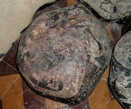 Pregnant dinosaur (Brontosaurus or
                            Camarasaurus), close-up