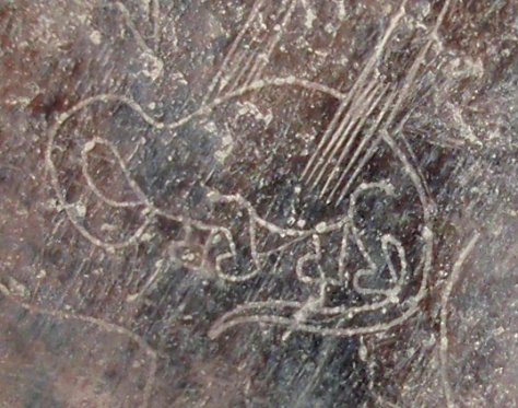 The
                          unborn child in the belly of the pregnant
                          dinosaur (Brontosaurus or Camarasaurus)