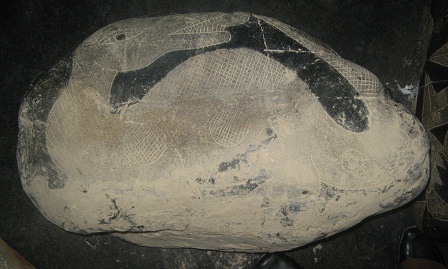 A young dinosaur (Brontosaurus or
                            Camarasaurus)