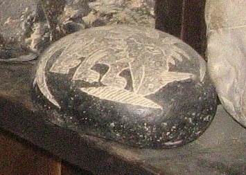 The unicorn dinosaur