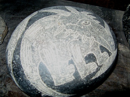 The unicorn dinosaur 02