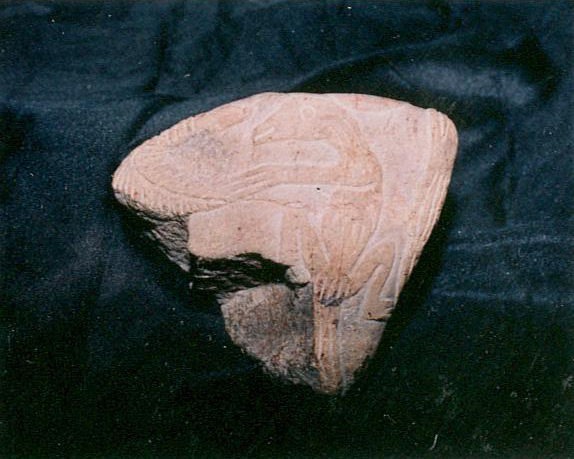 Dinosaur
                          (Hypsilophodon?)