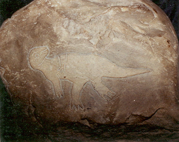 Dinosaur
                          (Tenentosaurus?)