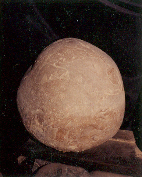 Big dinosaur 01
                          (Stegosaurus-Brontosaurus)