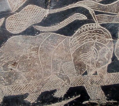 Head surgery, close-up of the cut at
                            the head