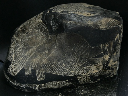 Head surgery, entering the head