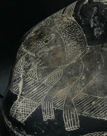 Head surgery, entering the head,
                            close-up