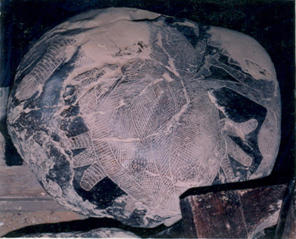 Heart surgery
                            with surgery operations at the heart,
                            close-up 01