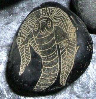 A shrimp 01 (or
                  what is this?)