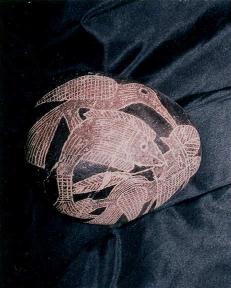 A
                          fish, a bird, and a wise man