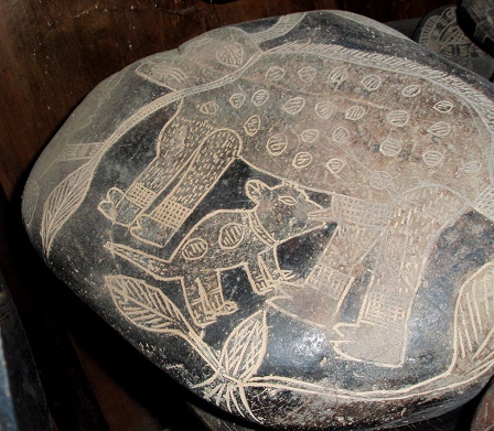 Hind with young generation