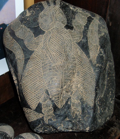 Big ancient insect, close-up