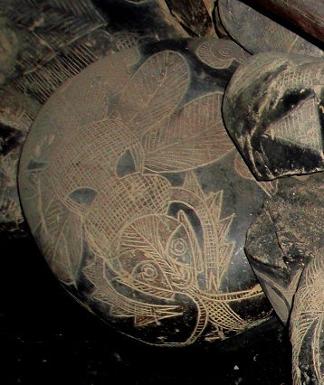 Another big ancient insect