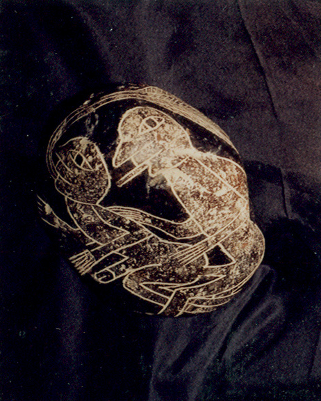 Homos
                      09