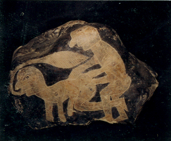 Homos
                      09