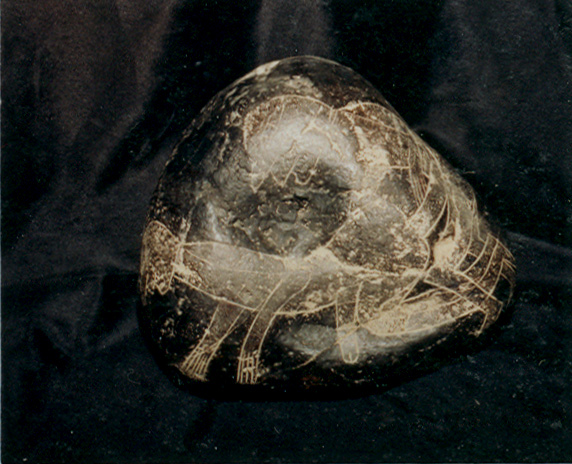 Homos
                      10