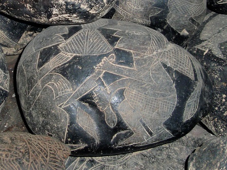 Cutting of a penis 02