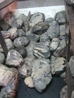 Engraved stones on the floor 01