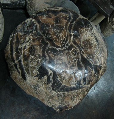World map with the continents on one
                          single stone, close-up