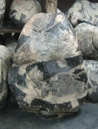 Cesarean 01, close-up