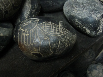 Dinosaur like a turtle