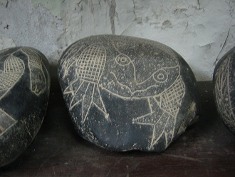 Dinosaur like a frog