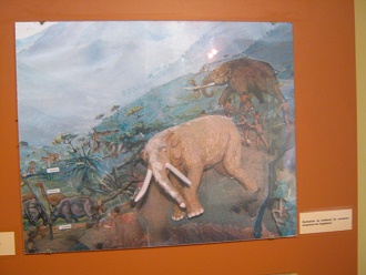 J�gerkultur, Ureinwohner gegen
                      elefanten�hnliche R�sseltiere