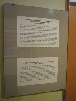 Texte �ber die Domestizierung der
                              J�ger und Sammler mit Landwirtschaft