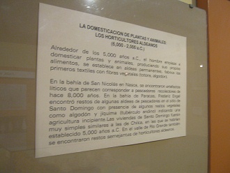 Text �ber die Domestizierung auf
                            Spanisch, Nahaufnahme