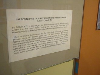 Text �ber die Domestizierung auf
                            Englisch, Nahaufnahme